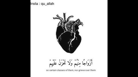 ايه من القران ... حالات واتساب . قصص فيسبوك من القران الكريم