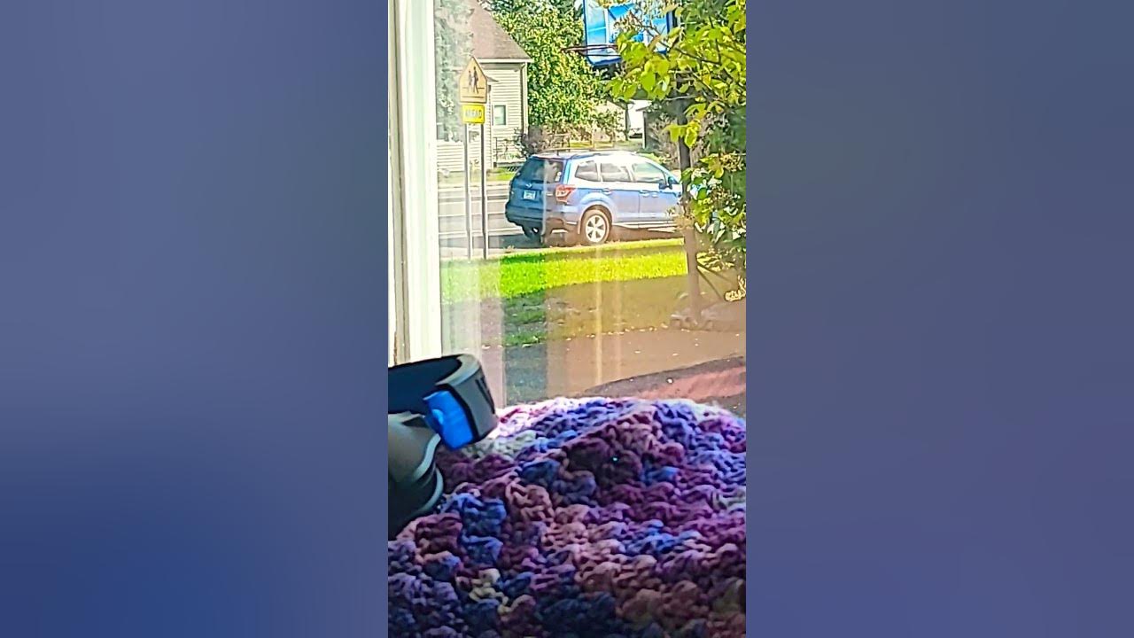 Blue car is a tweaker car. And it's the neighbors again - YouTube