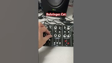 Synth jam using the Behringer Cat. #analogsynth #behringercat  #synthesizer