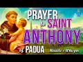 🙏 Prayer to Saint Anthony of Padua - Very Powerful 🙏