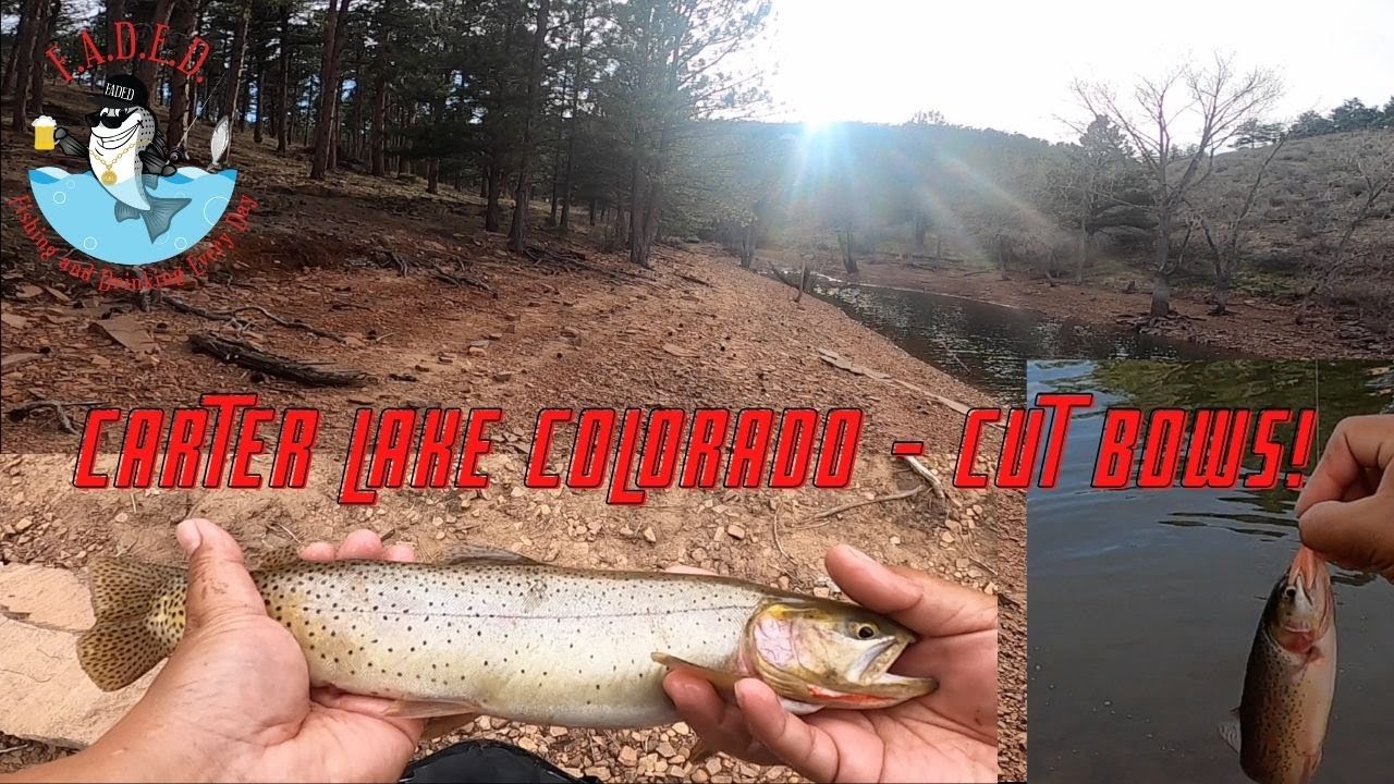 Carter Lake Colorado Cut Bows! YouTube