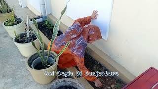 Aktivitas Ibu Rumah Tangga Sehari Hari Ll Masak Menu Sederhana Ll Buang Sampah Lanjut Cabut Rumput