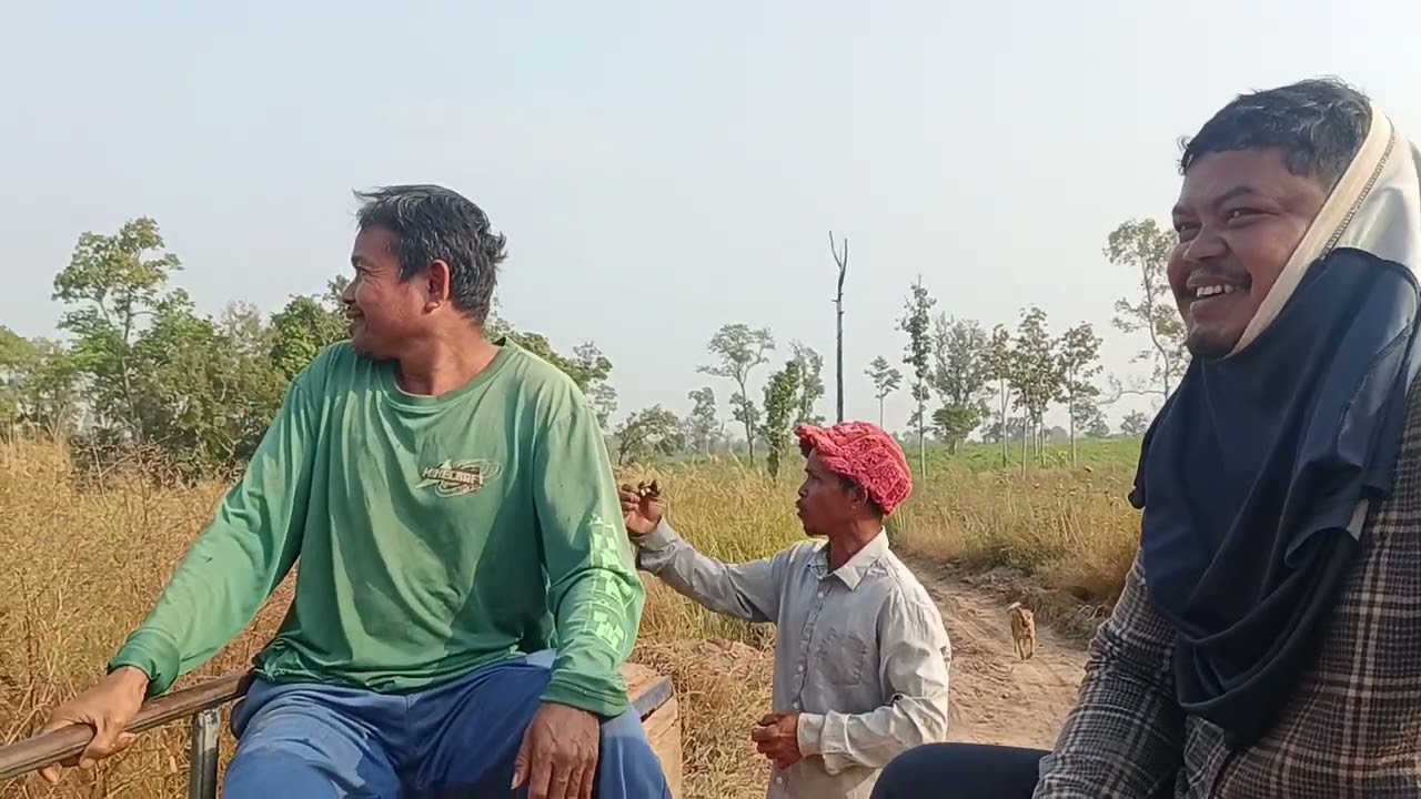 នៅតាមចំការមនុស្សអ៊ូអរជាងនៅក្នុងភូមិទៀតអ៊ំពូមីងលោកយាយលោកតា