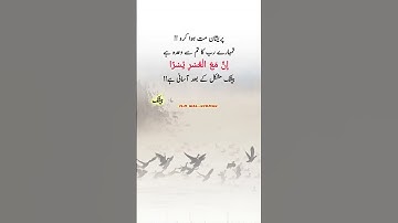 Beautiful Words #beshak #islamicvideo #islamicreminder #muslimcontent #shortsfeed #shorts