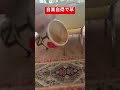 オッオ〜〜ン⤴︎⤴︎wwwww