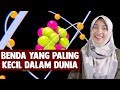 Benda yang Paling Kecil dalam Dunia