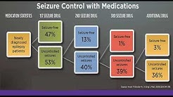 Medical Therapy in Epilepsy: Treatment, Side Effects, and Drug Interactions
