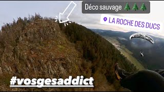 Déco sauvage  ROCHE DES DUCS / marche et vol Vosges