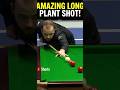 amazin plant + deep screw shot by Luca #shorts #trending #trendingshorts