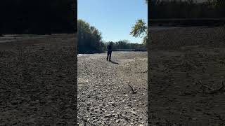 Searching Eagle Island. #fossilhunting #baldeagles #riverwalking #rockhounding