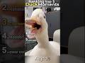 Top 5 Funniest Ducks You’ll See Today 🦆😂 #Duck #Funny