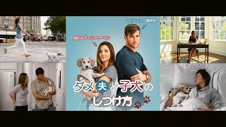 ダメ夫と子犬のしつけ方 予告編