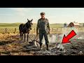 The Rival Farmer Set Fire to His Wheat Field — He Turned the Ash Into Black Gold Soil