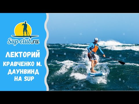 Видео: Испанская водная собака