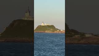 Arrived safely at Port of Newcastle, Australia 🇦🇺 #shorts