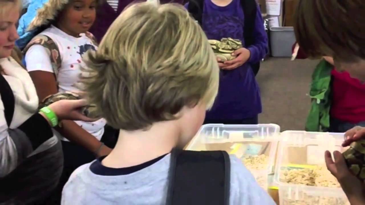 anytime vs any time My's Sons Birthday Party & Took Some O fThe Snakes To The Class room