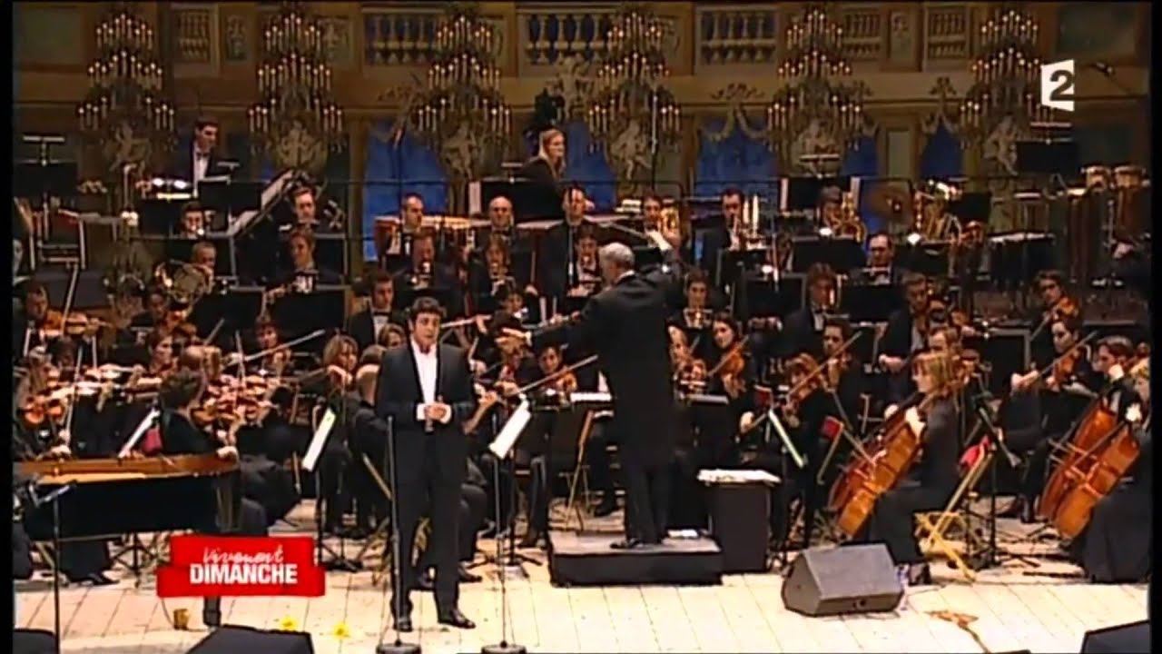 Vivement Dimanche - Patrick Bruel