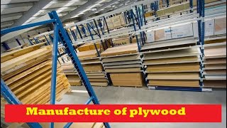 How Plywood Is Made In Factories  Mega Factories Video