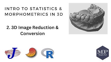 2. Morphometrics Analysis with 3D Images (3D Image Reduction & Conversion)