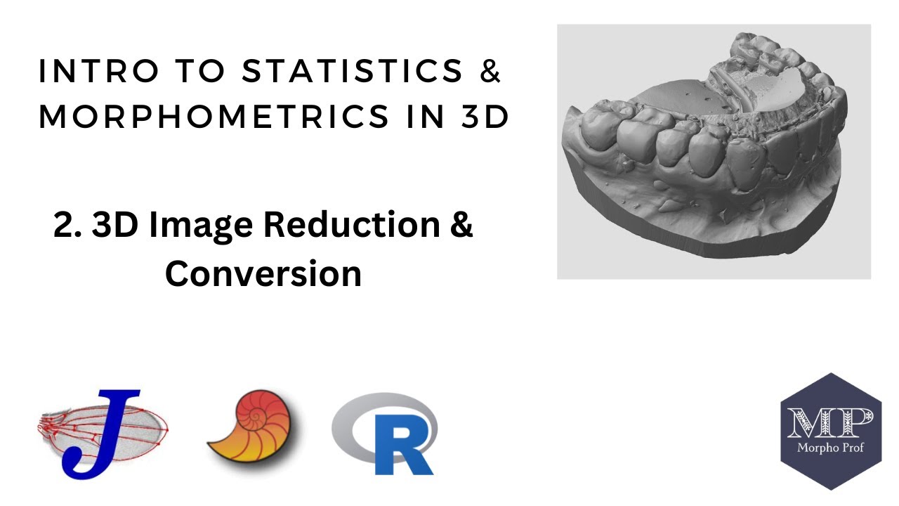 2. Morphometrics Analysis with 3D Images (3D Image Reduction & Conversion)