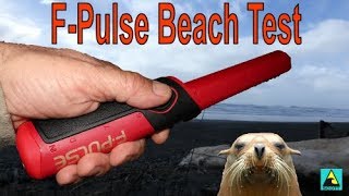 Fisher F-Pulse Pinpointer Saltwater Test