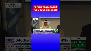 OPEC chief calls for more oil investment despite major climate push #shorts