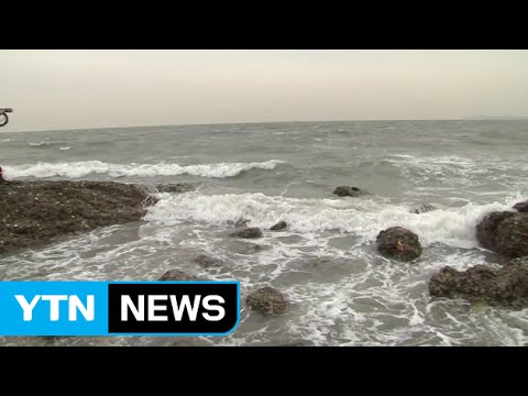 태안 해안, 세계 자연보호 지역 지위 격상 / YTN