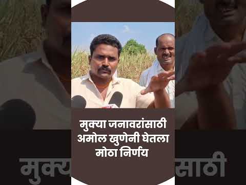 मुक्या जनावरांसाठी अमोल खुणेनी घेतला मोठा निर्णय #amolkhune #beed #brekingnews