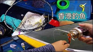 #香港釣魚 長洲天帶艇 西水波子壓底釣什魚