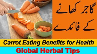 Carrot Benefits for Health, Gajjar Khanay Ke Faide, सेहत के लिए गाजर के फायदे