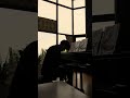 Porn Una Cabeza 🌹 #piano #tango #music #pianocover