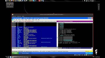 How to run shellcode in immunity debugger