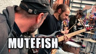 MUTEFISH | Miss Jackson's and Fields of Russia