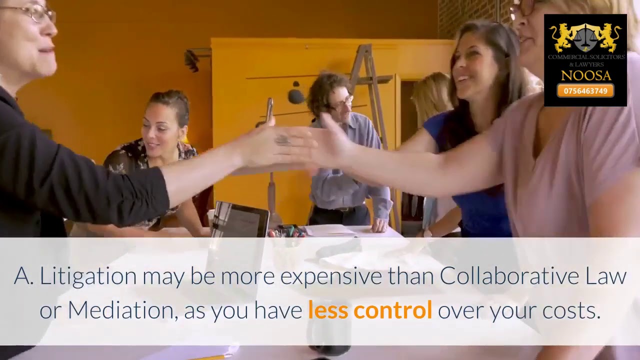 Noosa lawyer litigation facts part 2