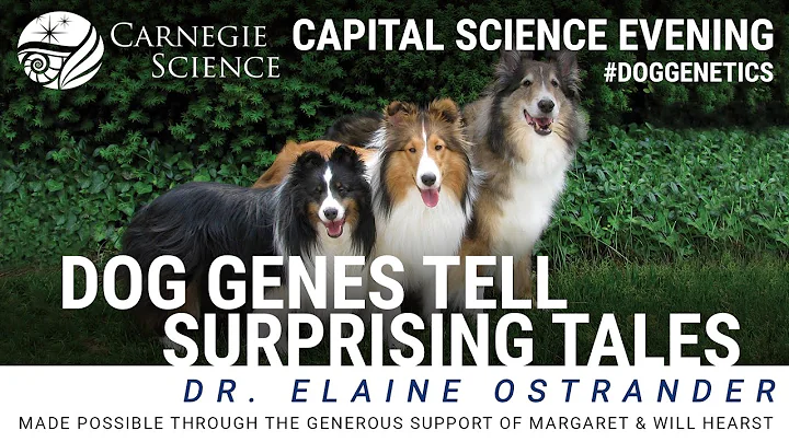 Dog Genes Tell Surprising Tales - Dr. Elaine Ostra...