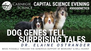Dog Genes Tell Surprising Tales - Dr. Elaine Ostrander