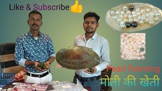 pearl farming in madhya pradesh  मोती की खेती की पूर्ण जानकारी