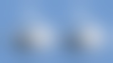 CBD & CBG Isolate Powder