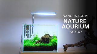 ADA Nano Aquarium Lava Stone Iwagumi Aquascape Setup