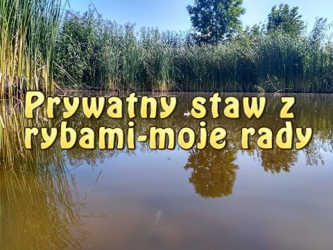 Wideo: Jak Zarejestrować Staw Jako Własność