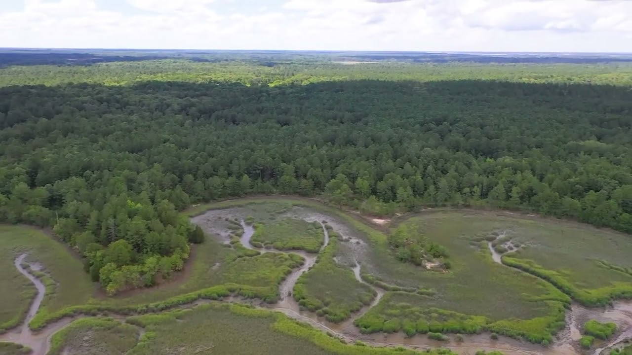 Buck Hall Plantation @ Bolan Hall/102.3 Acres with over 2200 ft on Marsh/River!