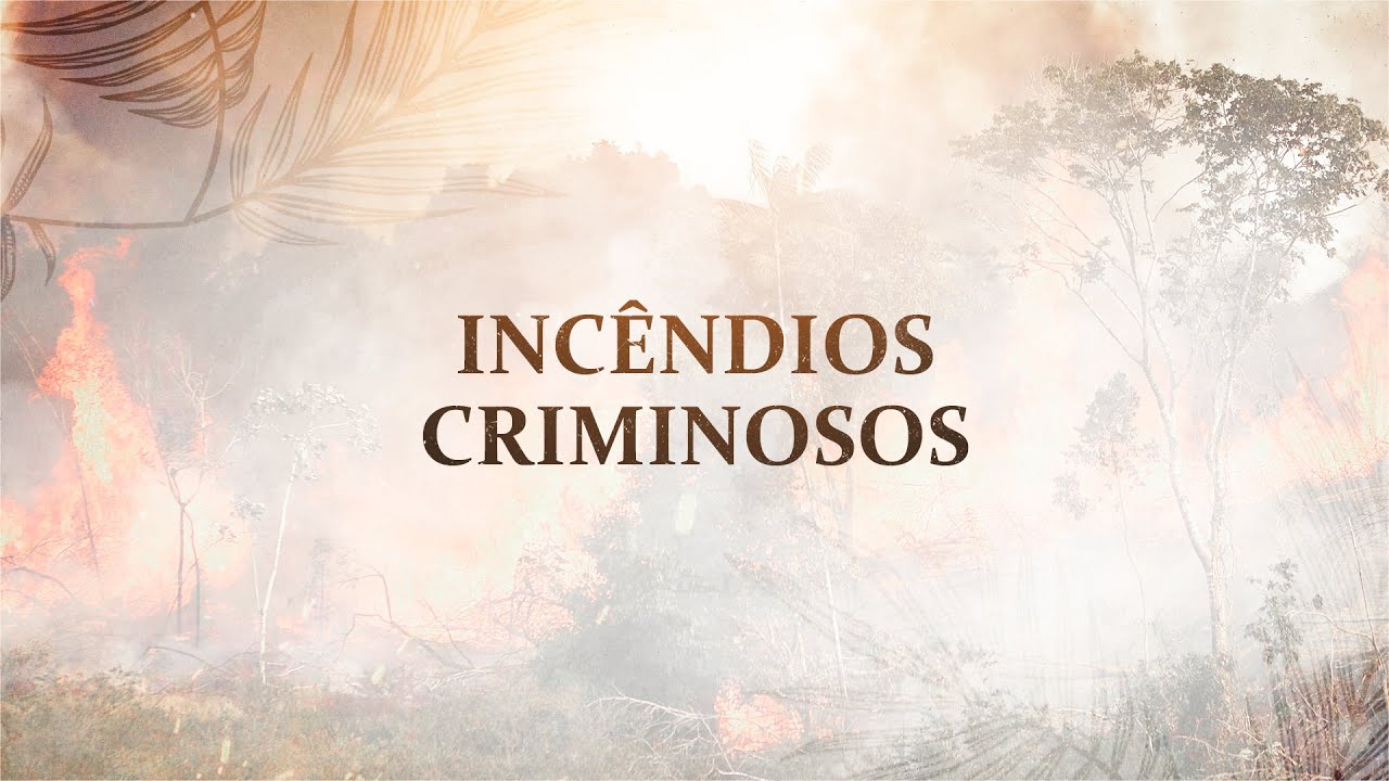 Incêndios criminosos