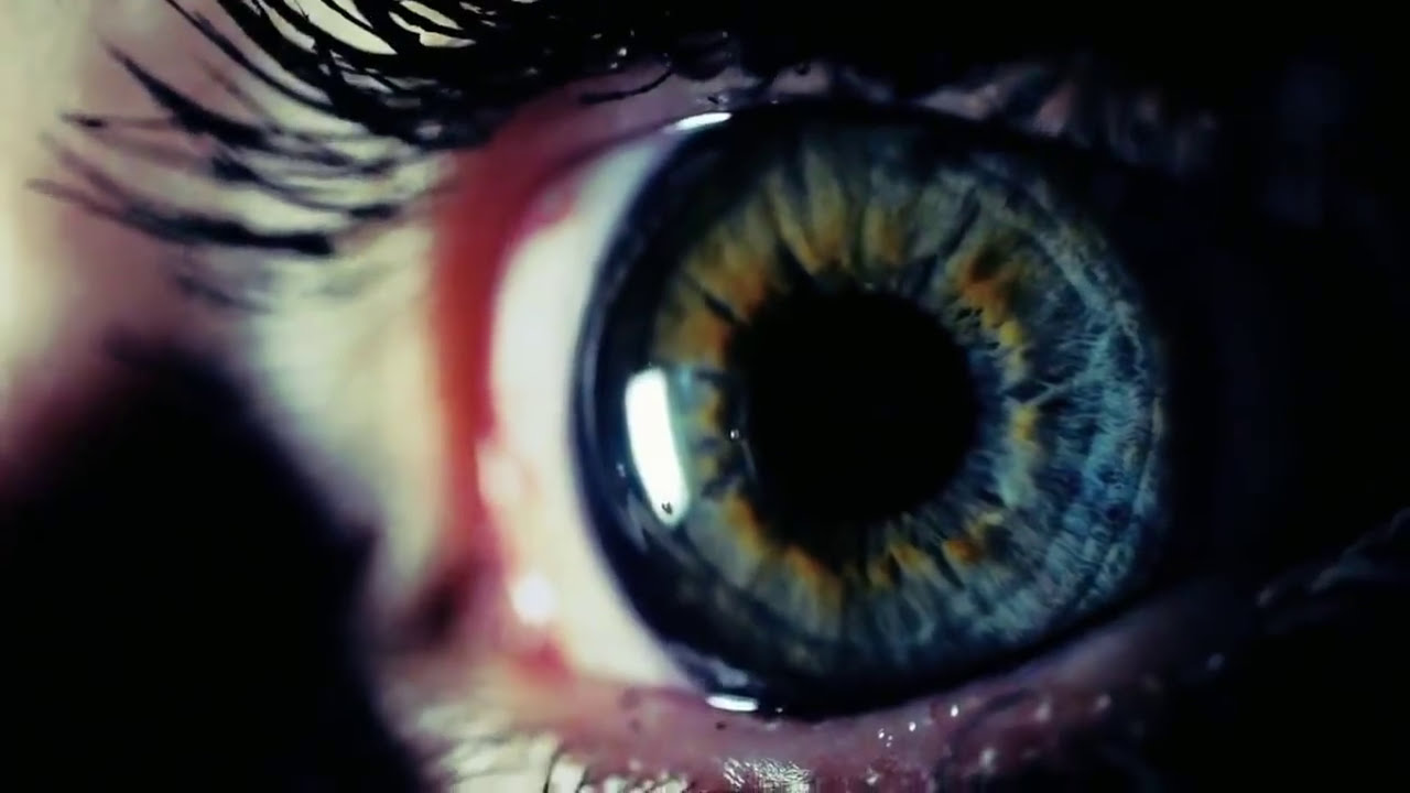 DEAD HORSE ONE - I LOVE MY MAN 