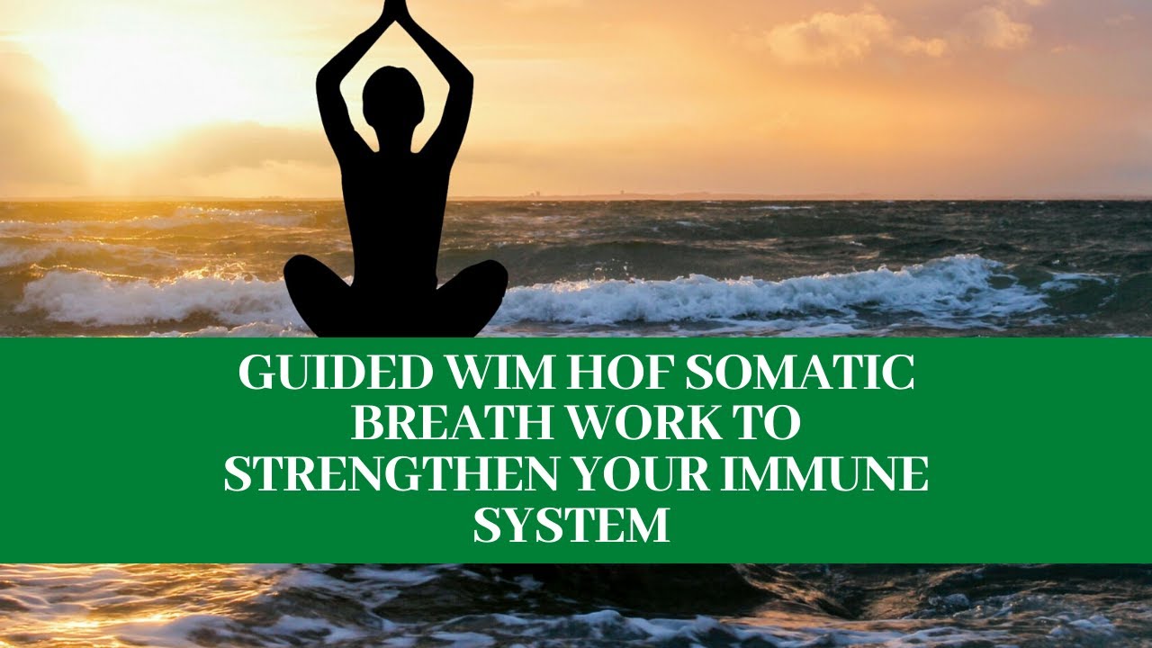 Guided Wim Hof, somatic breath work (release trauma & anxiety)