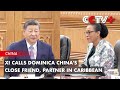 Xi Calls Dominica China's Close Friend, Partner in Caribbean