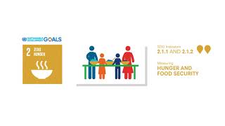 SDG 2 – Indicators of hunger and severity of food insecurity