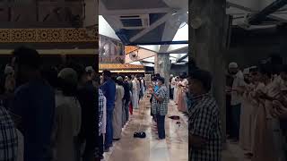 Download Lagu beautiful voice dua in Bangkok. #dua #muslims #salah #witrdua #islamiccenter #goodvibes #nice #viral MP3