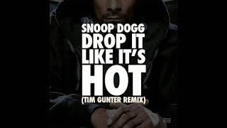 Snoop Dogg Drop It Like Itaposs Hot Tim Gunter Remix