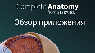 Обзор анатомического приложения Complete anatomy. screenshot 4