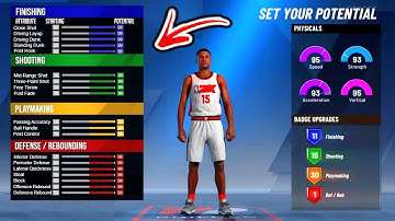 BEFORE YOU MAKE YOUR BUILD, WATCH THIS VIDEO!! THIS BUILD CAN DO ANYTHING IN NBA 2K20!!